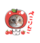 ねこにゃん22（個別スタンプ：40）