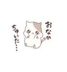 ハムねこの日常（個別スタンプ：16）