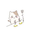 ハムねこの日常（個別スタンプ：17）