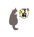 友達んちの猫（個別スタンプ：20）