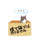 友達んちの猫（個別スタンプ：23）