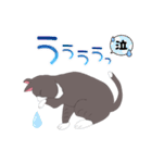 友達んちの猫（個別スタンプ：35）