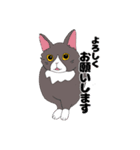 友達んちの猫（個別スタンプ：36）