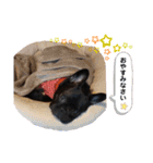 ニコニコにこっち（個別スタンプ：15）