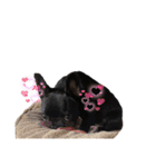 ニコニコにこっち（個別スタンプ：34）