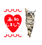 あにゅう♡じゅな（個別スタンプ：1）