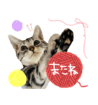 あにゅう♡じゅな（個別スタンプ：13）