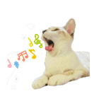 あにゅう♡じゅな（個別スタンプ：15）
