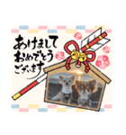 くぅちょこスタンプ第5弾（個別スタンプ：20）