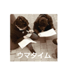 HSI 公式スタンプ2（個別スタンプ：7）