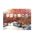 HSI 公式スタンプ2（個別スタンプ：30）
