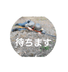 HSI 公式スタンプ2（個別スタンプ：33）