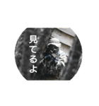 HSI 公式スタンプ2（個別スタンプ：36）