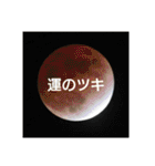 HSI 公式スタンプ2（個別スタンプ：40）