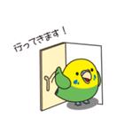 セキセイインコ（緑オパーリン）3（個別スタンプ：9）