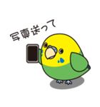 セキセイインコ（緑オパーリン）3（個別スタンプ：32）