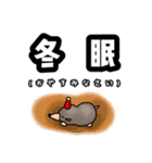 冬に使える謎のスタンプ（個別スタンプ：6）
