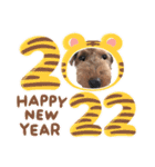 ウェルシュテリア♡ジェリーさんの1日(24)（個別スタンプ：9）
