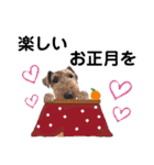 ウェルシュテリア♡ジェリーさんの1日(24)（個別スタンプ：11）