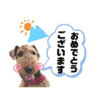 ウェルシュテリア♡ジェリーさんの1日(24)（個別スタンプ：16）