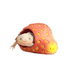 ウーパールーパーのうぱぴスタンプ（個別スタンプ：1）