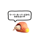 ウーパールーパーのうぱぴスタンプ（個別スタンプ：3）