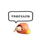 ウーパールーパーのうぱぴスタンプ（個別スタンプ：4）