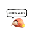 ウーパールーパーのうぱぴスタンプ（個別スタンプ：6）