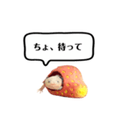 ウーパールーパーのうぱぴスタンプ（個別スタンプ：7）