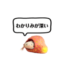 ウーパールーパーのうぱぴスタンプ（個別スタンプ：8）