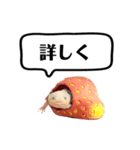 ウーパールーパーのうぱぴスタンプ（個別スタンプ：9）