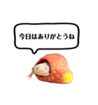 ウーパールーパーのうぱぴスタンプ（個別スタンプ：11）