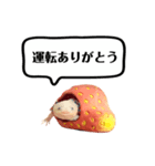 ウーパールーパーのうぱぴスタンプ（個別スタンプ：12）