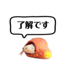 ウーパールーパーのうぱぴスタンプ（個別スタンプ：14）