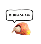 ウーパールーパーのうぱぴスタンプ（個別スタンプ：19）