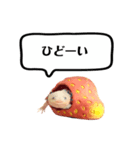 ウーパールーパーのうぱぴスタンプ（個別スタンプ：34）