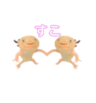 ウーパールーパーのうぱぴスタンプ（個別スタンプ：40）