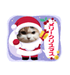 はぴちゃんのご挨拶(冬)（個別スタンプ：2）