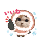 はぴちゃんのご挨拶(冬)（個別スタンプ：4）