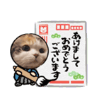 はぴちゃんのご挨拶(冬)（個別スタンプ：5）
