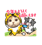 はぴちゃんのご挨拶(冬)（個別スタンプ：8）