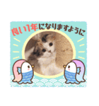 はぴちゃんのご挨拶(冬)（個別スタンプ：11）