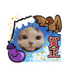 はぴちゃんのご挨拶(冬)（個別スタンプ：12）