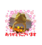 フトアゴ我太郎『お礼』『お詫び』スタンプ（個別スタンプ：2）
