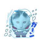 R＆G保護猫スタンプクリスマスバージョン（個別スタンプ：3）
