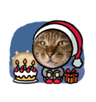 R＆G保護猫スタンプクリスマスバージョン（個別スタンプ：4）