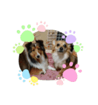 ルナルナスタンプ時々モカ（個別スタンプ：1）