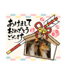 ルナルナスタンプ時々モカ（個別スタンプ：3）