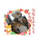 ルナルナスタンプ時々モカ（個別スタンプ：4）