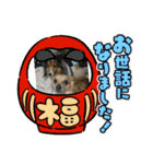 ルナルナスタンプ時々モカ（個別スタンプ：6）